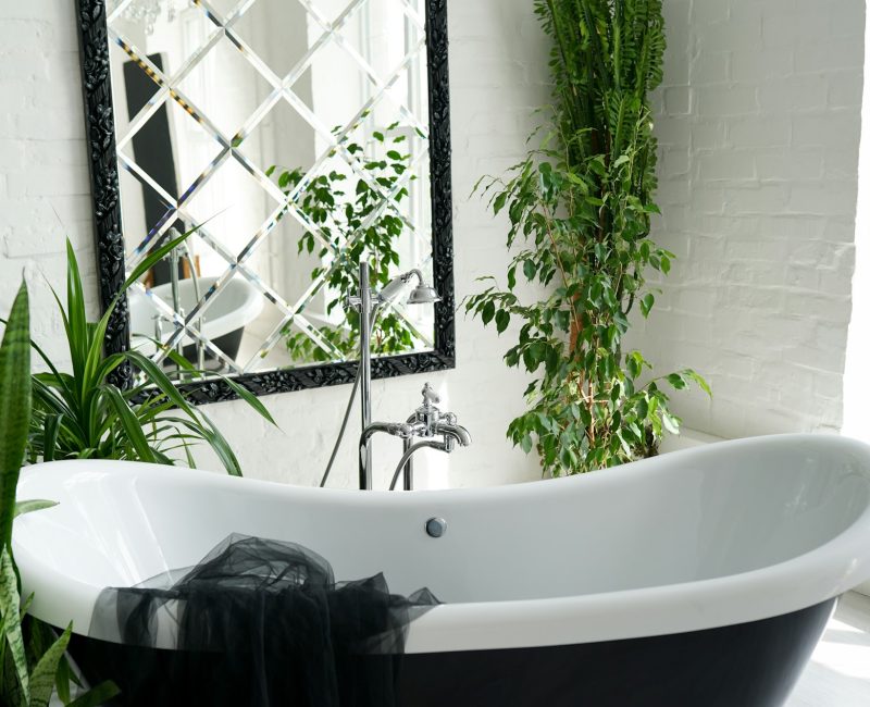 Bathtub and green plants in bathroom interior in luxury home